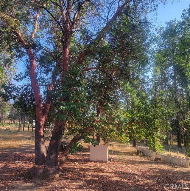 70 Ermarie, Berry Creek, CA, 95916 70 Ermarie, Berry Creek, CA, 95916