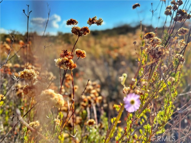 Detail Gallery Image 23 of 26 For 0 Rolling Hills, Aguanga,  CA 92539 - – Beds | – Baths