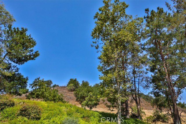 Detail Gallery Image 61 of 67 For 1921 Avenida Monte Vista, San Dimas,  CA 91773 - 3 Beds | 2 Baths