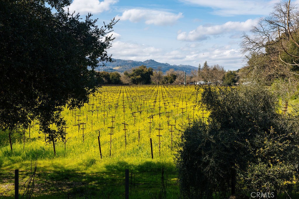 5Aff2Cf0 47D0 4Eed Aeed 46F1Cfb24098 1001 Silverado Trail South, St. Helena, Ca 94574 &Lt;Span Style='BackgroundColor:transparent;Padding:0Px;'&Gt; &Lt;Small&Gt; &Lt;I&Gt; &Lt;/I&Gt; &Lt;/Small&Gt;&Lt;/Span&Gt;