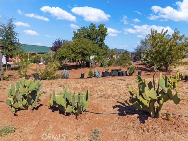 Detail Gallery Image 34 of 46 For 1720 E. Highway 20, Upper Lake,  CA 95485 - 3 Beds | 1 Baths