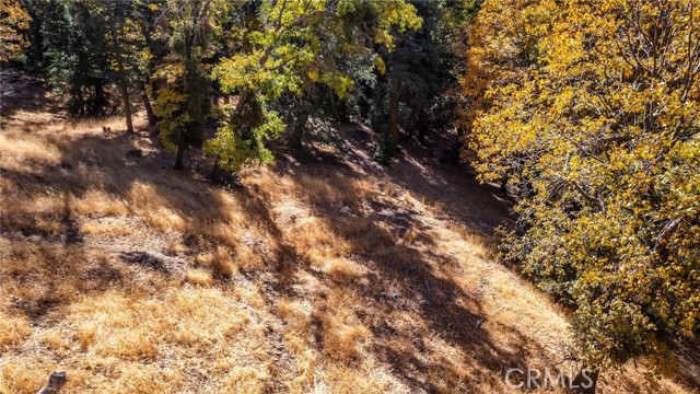 Detail Gallery Image 14 of 40 For 0 Mojave River Rd, Cedarpines Park,  CA 92322 - – Beds | – Baths