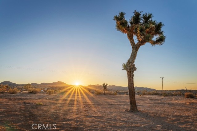 Detail Gallery Image 32 of 36 For 55628 Eureka, Yucca Valley,  CA 92284 - 2 Beds | 1 Baths