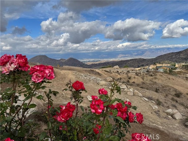 Front Image Thumbnail for CRIV25268422