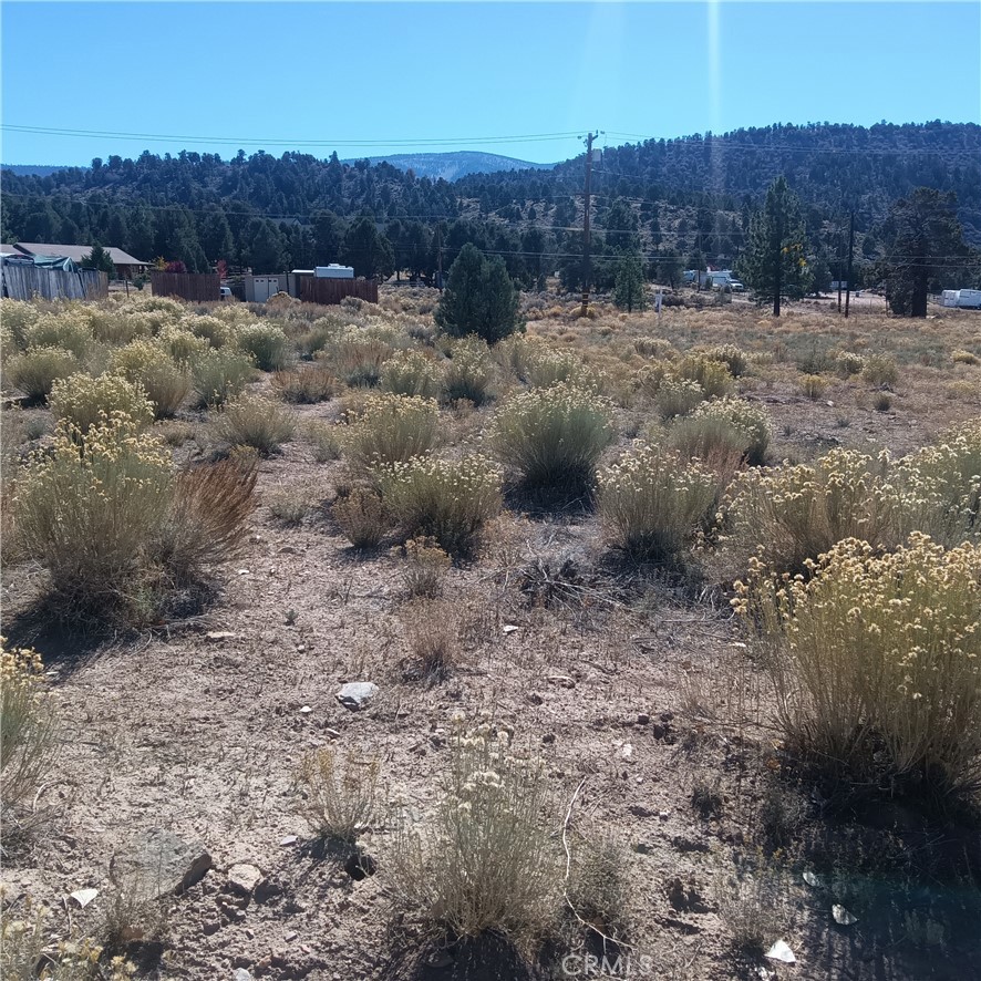 MLS #JT25255966 image #5