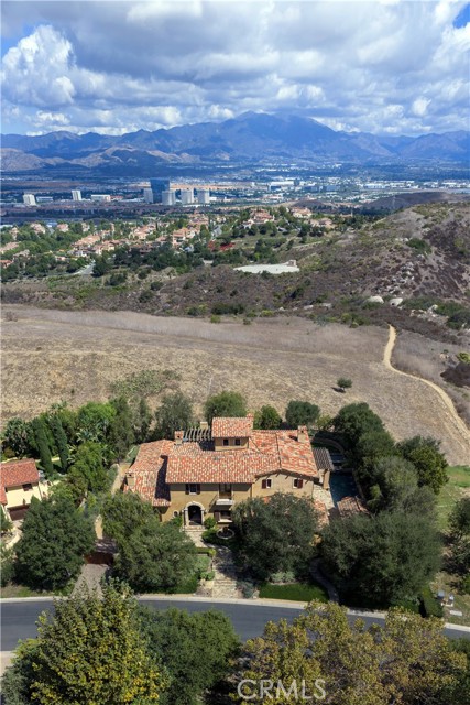 Front Image Thumbnail for CROC25232616