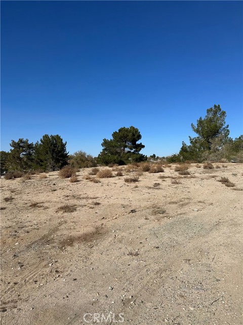 0 Camelback Drive, Victorville, California 92395, ,Land,For Sale,0 Camelback Drive,CRSB23213632