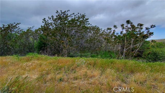 0 Rimford Drive Drive, Elizabeth Lake, California 93532, ,Land,For Sale,0 Rimford Drive Drive,CRSR23075504