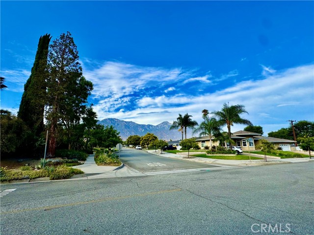 Detail Gallery Image 5 of 38 For 1795 N 1st Ave, Upland,  CA 91784 - – Beds | – Baths