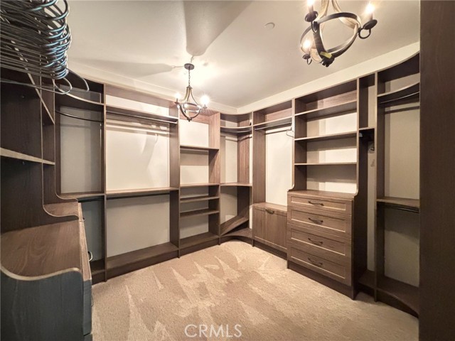 Primary closet