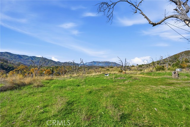Front Image Thumbnail for CRLC26174293