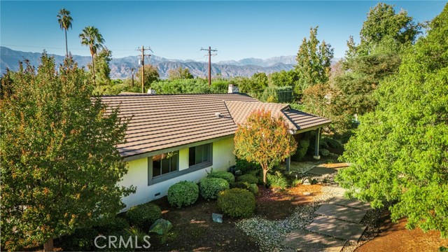3455 Rancho Rio Bonita photo 45