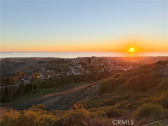 Front Image Thumbnail for CROC25265308