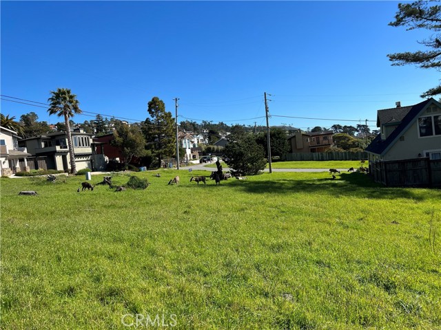 399 Fallbrook Street, Cambria, California 93428, ,Land,For Sale,399 Fallbrook Street,CRSC23192533