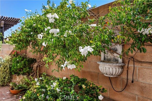 Detail Gallery Image 25 of 46 For 25837 Oak #111,  Lomita,  CA 90717 - 3 Beds | 2/1 Baths