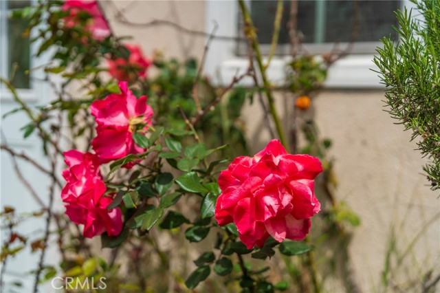 21514 Ellinwood Drive, Torrance CA: https://media.crmls.org/medias/5b37588f-1271-43fa-94e4-3fc09459c12d.jpg