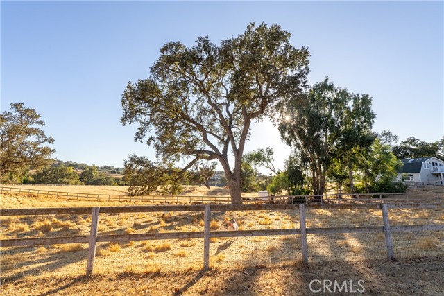 Detail Gallery Image 52 of 65 For 1285 Beaver Creek Ln, Paso Robles,  CA 93446 - 4 Beds | 3 Baths