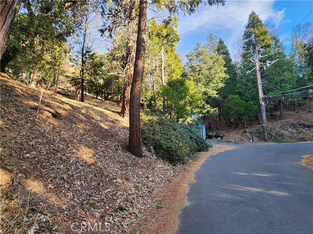 0 Basel Drive, Crestline CA: https://media.crmls.org/medias/5b3f2e81-4275-438c-a5fd-4e5ad24ae8ec.jpg