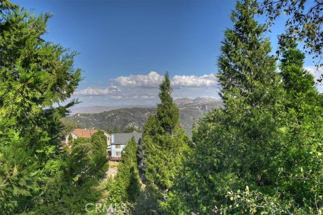 729 Minty Pine Drive, Cedarpines Park, CA 92322