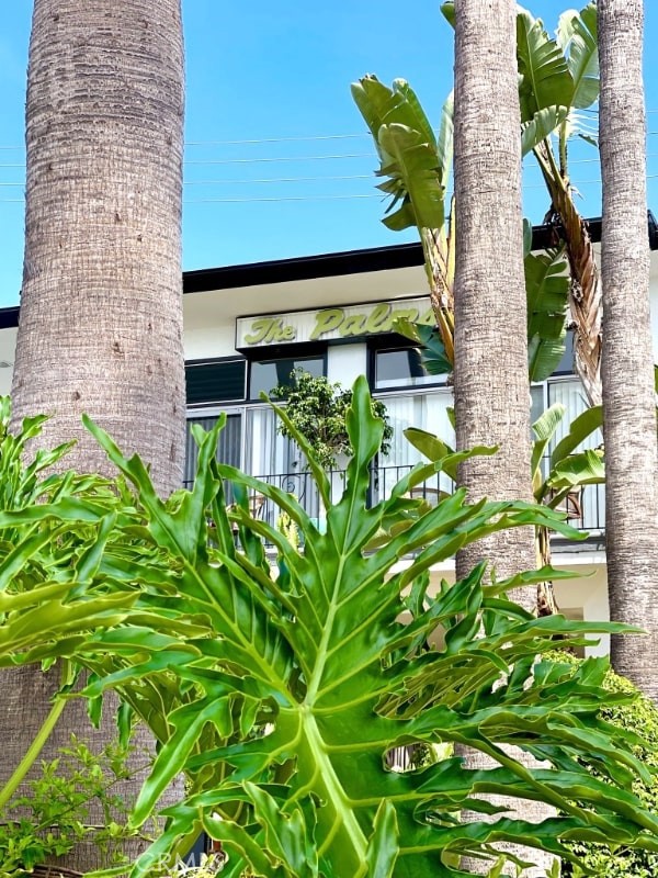 Detail Gallery Image 32 of 35 For 250 Cliff Dr #14,  Laguna Beach,  CA 92651 - 1 Beds | 1 Baths