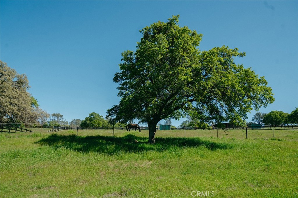 https://media.crmls.org/medias/5b468a28-ccf0-476c-abe7-ae78ed1f2b52.jpg?preset=X-Large