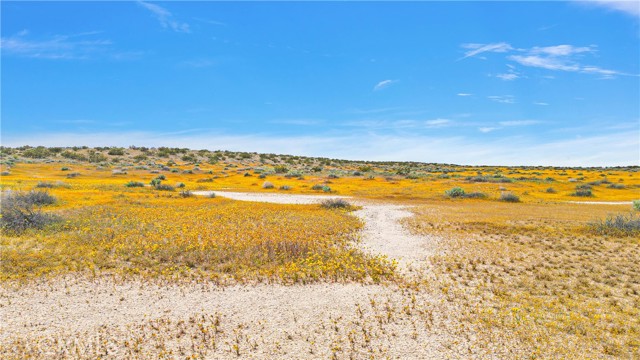 Detail Gallery Image 15 of 16 For 7 Near Powerline Rd, Boron,  CA 93516 - – Beds | – Baths