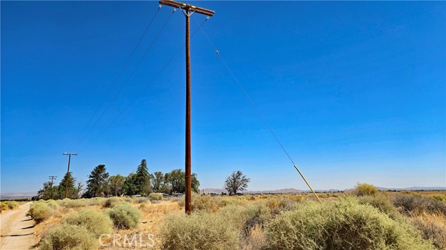 Front Image Thumbnail for CRSR26191478