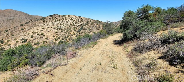 0 Vac/Vic Oracle Hills/Dusty Trail, Acton, California 91350, ,Land,For Sale,0 Vac/Vic Oracle Hills/Dusty Trail,CRSR24027628