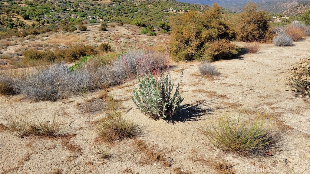 62958 Table Mountain Truck Trail