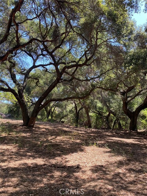 0 El Calamar Rd, Temecula CA: https://media.crmls.org/medias/5b603093-3b8d-4806-b4bd-2f39f2ae23bb.jpg