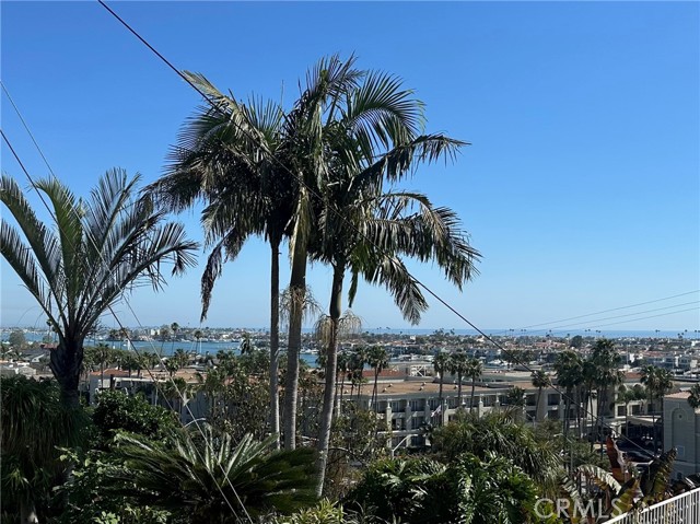 Front Image Thumbnail for CRNP26067442