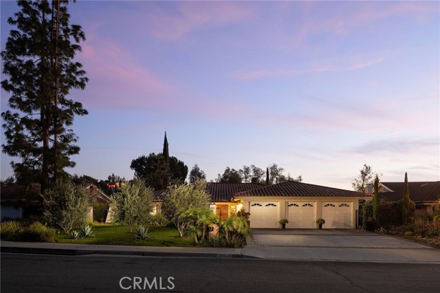 Front Image Thumbnail for CROC26023266