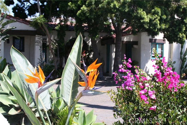 Front Image Thumbnail for CROC26038982