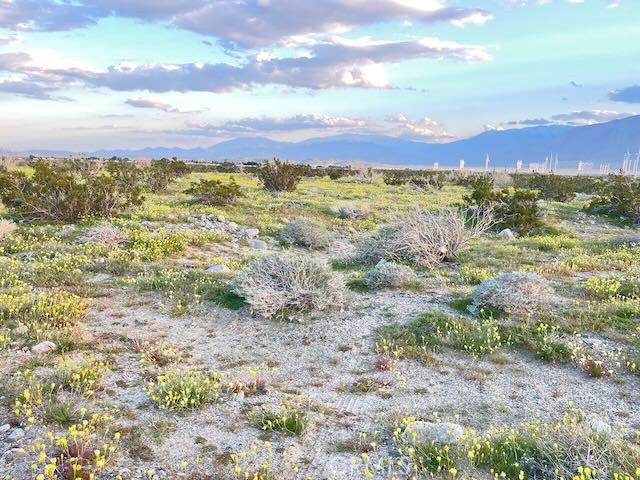 Detail Gallery Image 1 of 10 For 0 16th, Palm Springs,  CA 92240 - – Beds | – Baths