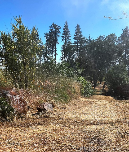 Detail Gallery Image 2 of 7 For 1318 Pearson Rd, Paradise,  CA 95969 - – Beds | – Baths