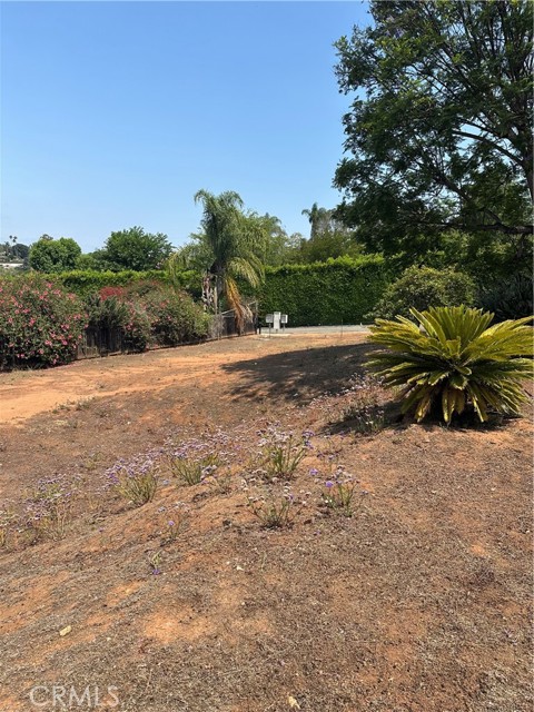 1624 York Drive, Vista CA: https://media.crmls.org/medias/5b79402a-b9e4-493d-9e34-08cc5e3e7aa1.jpg