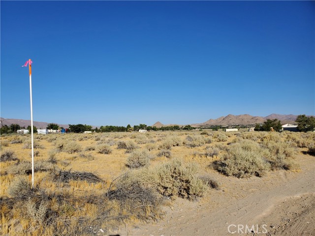 10600 Oracle Road, Lucerne Valley, California 92356, ,Land,For Sale,10600 Oracle Road,CRHD23166594