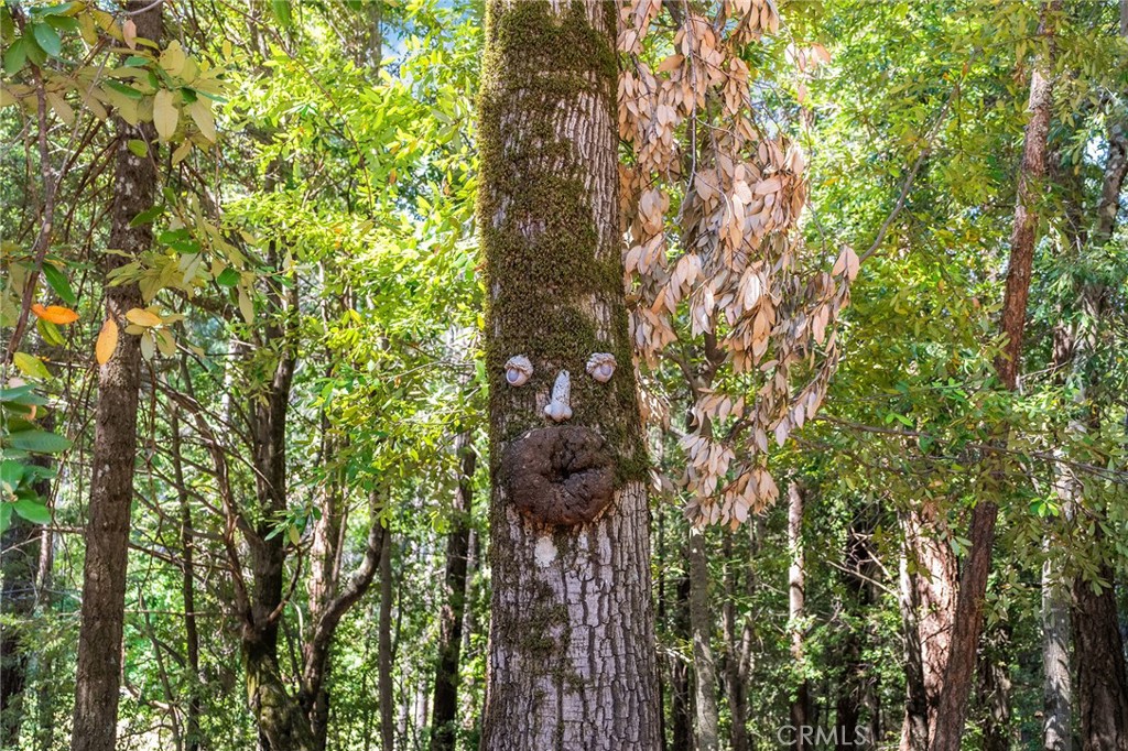 https://media.crmls.org/medias/5b86ad2b-6942-417c-a057-dd4a3b46c78b.jpg?preset=X-Large