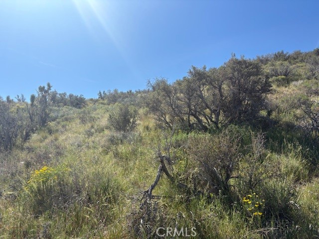 Detail Gallery Image 2 of 11 For 0 None, Pinon Hills,  CA 92372 - – Beds | – Baths