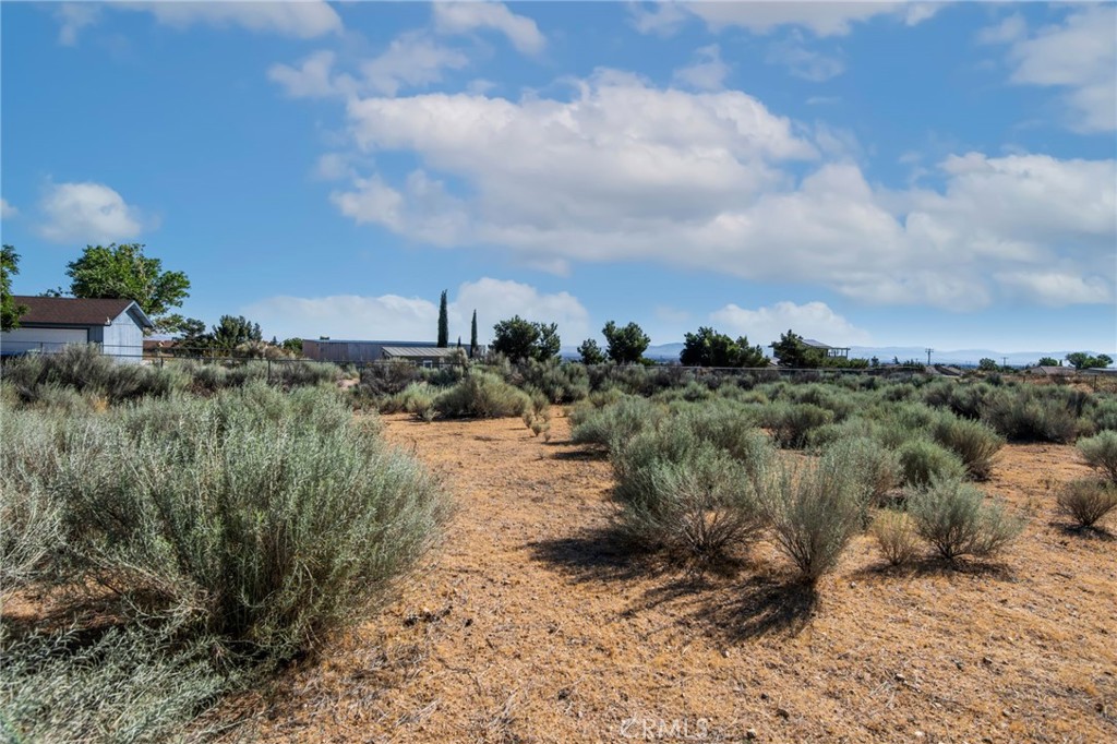 MLS #OC26132671 image #30