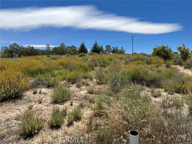 49320 Arroyo Way, Aguanga, CA, 92536 49320 Arroyo Way, Aguanga, CA, 92536