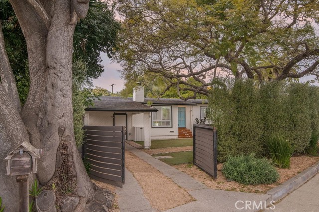 Front Image Thumbnail for CROC25273367