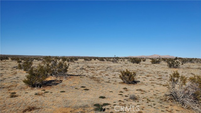 0 Vicinity Ave L10 243rd St E  