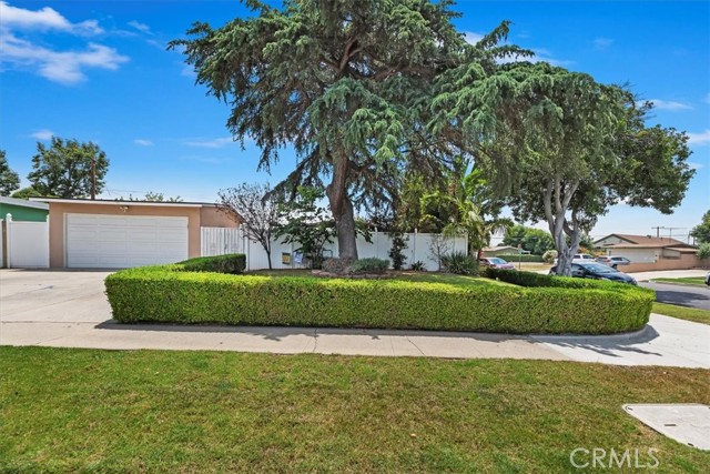550 N Dexford Drive, La Habra CA: https://media.crmls.org/medias/5b967eb5-9894-4465-9a58-82bf52865c8b.jpg