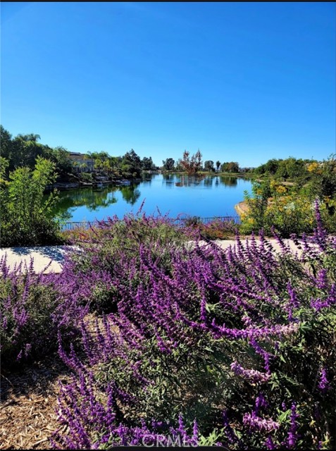 Detail Gallery Image 27 of 40 For 24049 Barley Rd, Moreno Valley,  CA 92557 - 4 Beds | 2 Baths