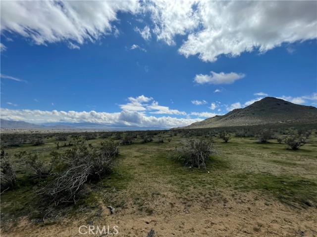 Detail Gallery Image 12 of 18 For 25 Falchion Ave, Apple Valley,  CA 92307 - – Beds | – Baths