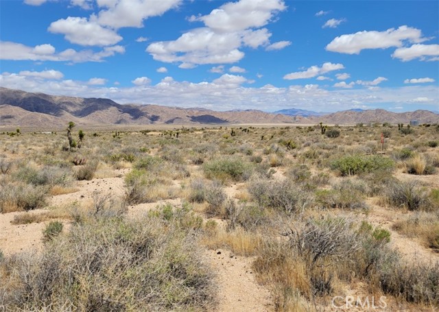 10 AC Laramie Street, Apple Valley CA: https://media.crmls.org/medias/5ba74309-4e5e-46c0-b633-50e779df6eb7.jpg