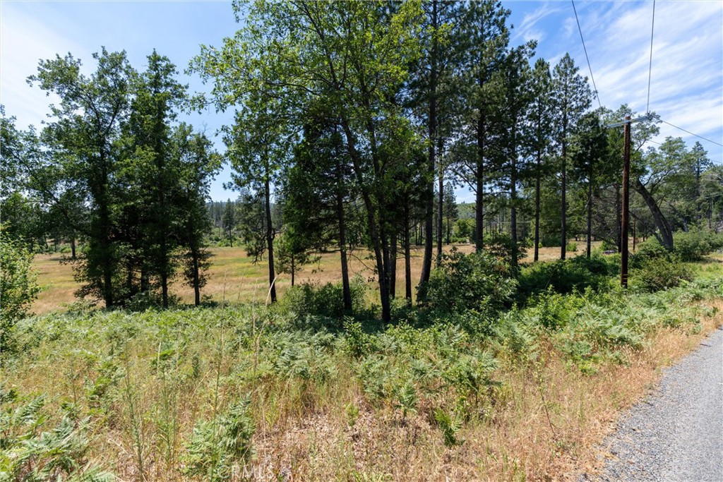 MLS #SN25260902 image #9