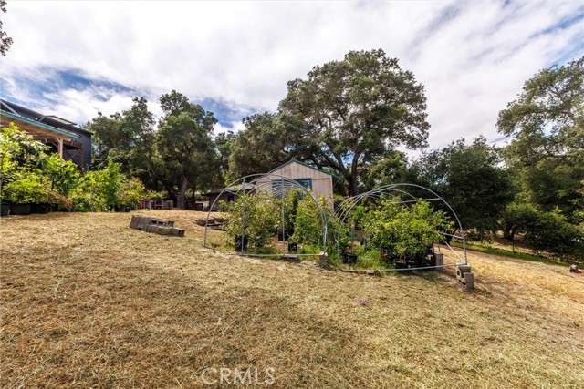 3175 Arena, Atascadero CA: https://media.crmls.org/medias/5bae3bdb-54f8-404d-a7b6-2bae7a68e7c8.jpg