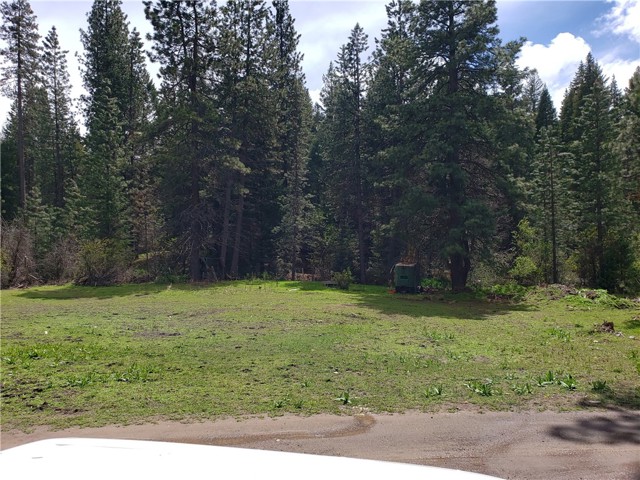 Detail Gallery Image 37 of 37 For 50 Bass Ln, Hayfork,  CA 96041 - 1 Beds | 1 Baths